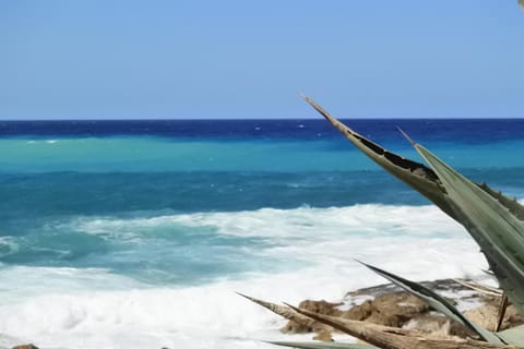 Natural landscape, Sea view