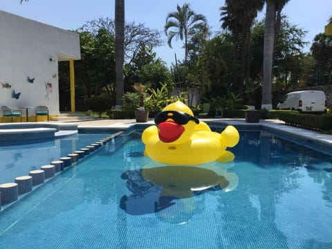 Swimming pool