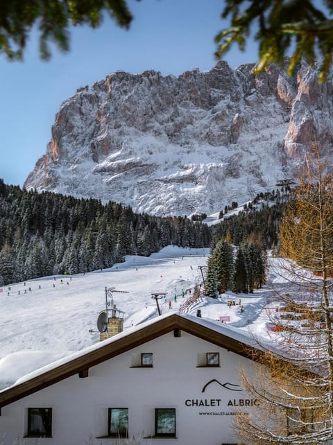 Chalet Albric Apartment in Sëlva