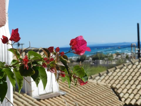 Bird's eye view, Balcony/Terrace, Sea view