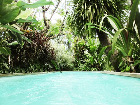 Swimming pool, Swimming pool