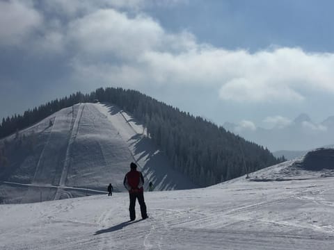 Natural landscape, Skiing, On site