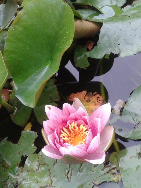 LA SERENELLA West Wing House in Veneto