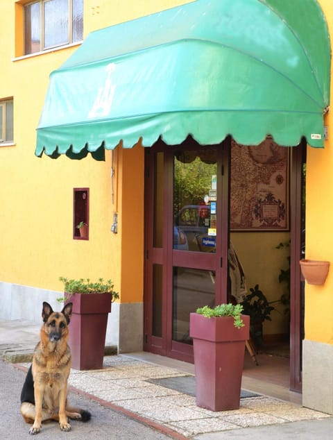 Facade/entrance