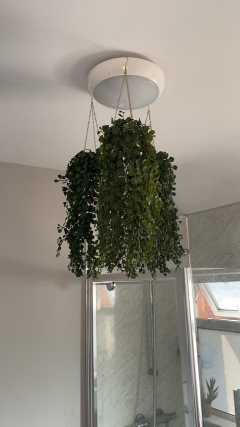 Lwr Ormeau Guest House Bed and Breakfast in Belfast