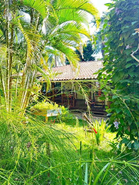 Property building, Natural landscape, Garden, Garden view