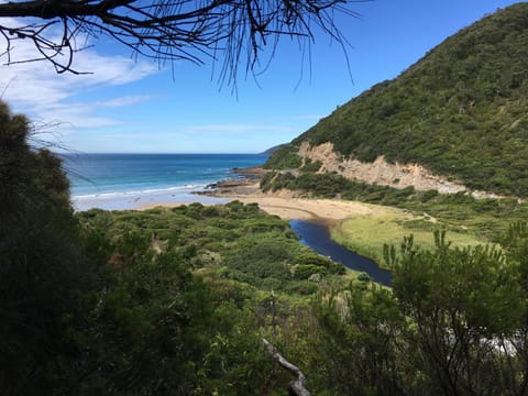 Natural landscape, Beach, Hiking