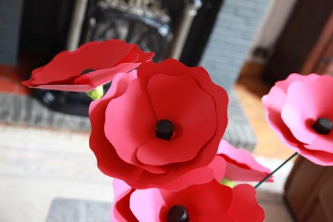 Temps de Pose Apartment in Ypres