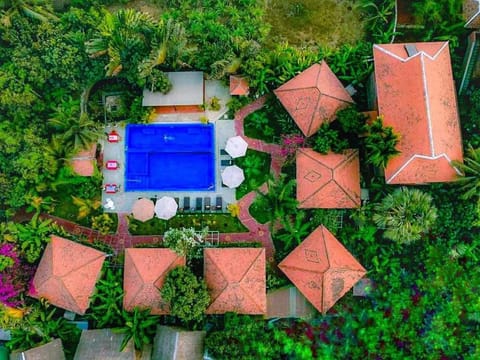 Bird's eye view, Garden, Garden view, Pool view, Swimming pool