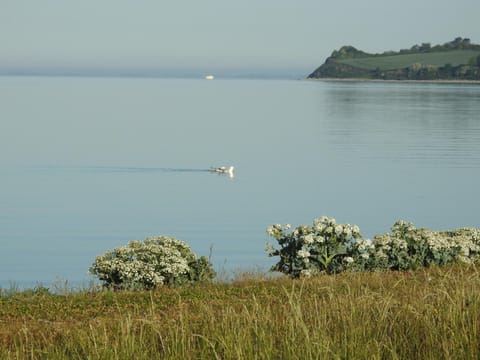 Aa Strand Camping Apartment in Region of Southern Denmark