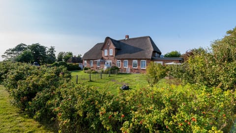 Property building, Day, Garden, Garden view