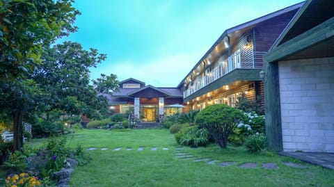 Property building, Garden, Garden, Sunset