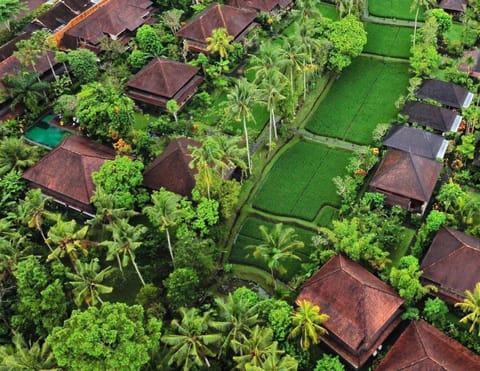 Property building, Bird's eye view, View (from property/room), Garden view, Inner courtyard view
