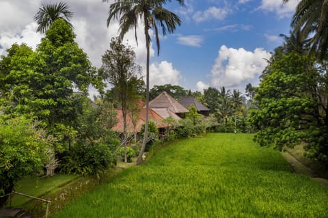 Garden view, Landmark view