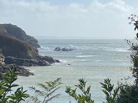 Ty Aelwyd House in Saint Davids