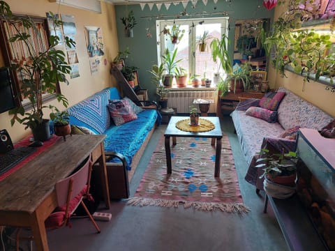 Summer, Garden, Living room, Lounge or bar