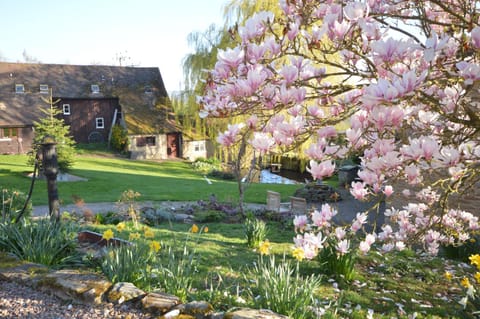 Natural landscape, BBQ facilities, Garden, Animals, Garden view