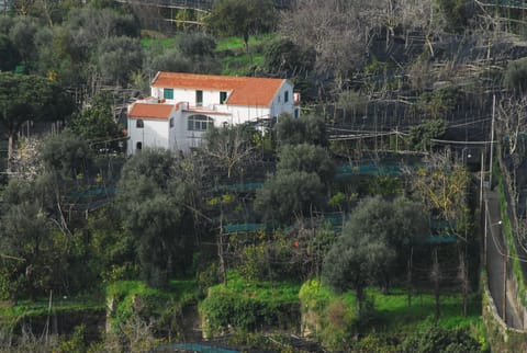 Azienda Agricola Veniero Apartment in Piano di Sorrento