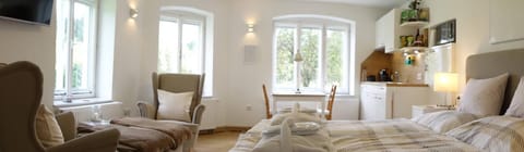 Bed, TV and multimedia, Living room, Photo of the whole room, Seating area, Bedroom