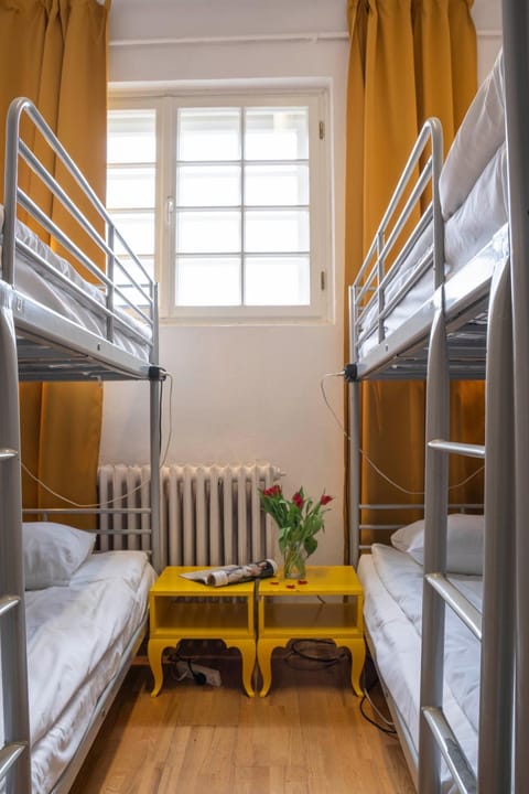Bed, Photo of the whole room, Bedroom, bunk bed