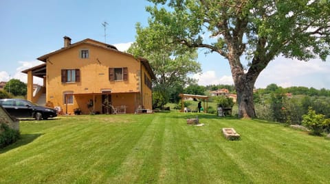 Property building, Garden view