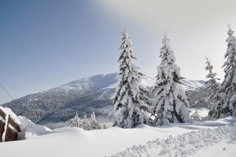 Natural landscape, Winter, Skiing, Mountain view