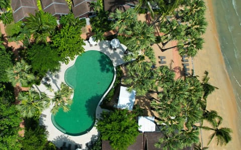 Beach, Swimming pool