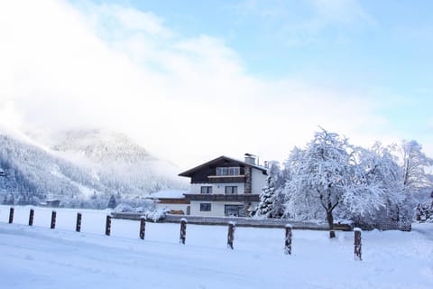 Property building, Winter