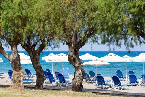 Beach, sunbed