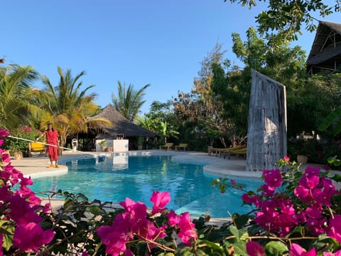 Garden, Swimming pool