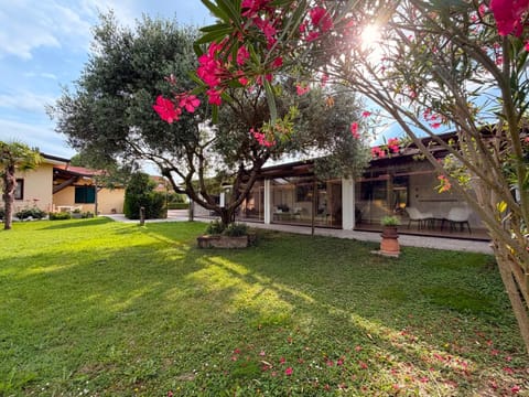 Natural landscape, Garden, Garden view