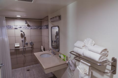 Bathroom, Facility for disabled guests