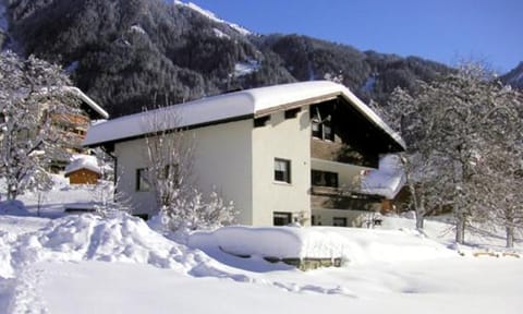 Property building, Winter