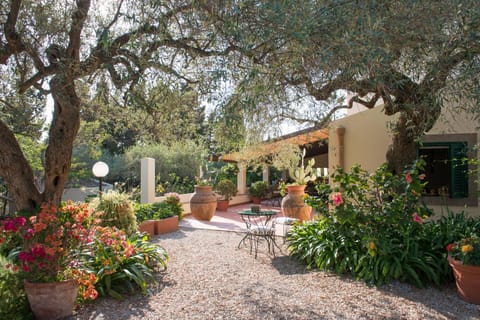 Facade/entrance, Garden