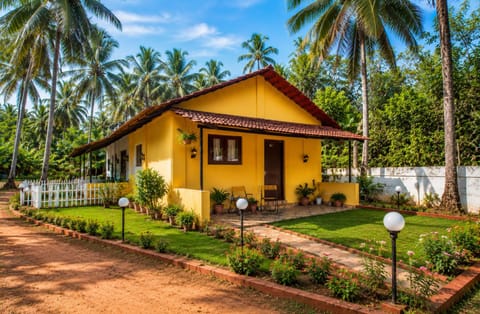 Property building, Spring, Day, Natural landscape, Garden view