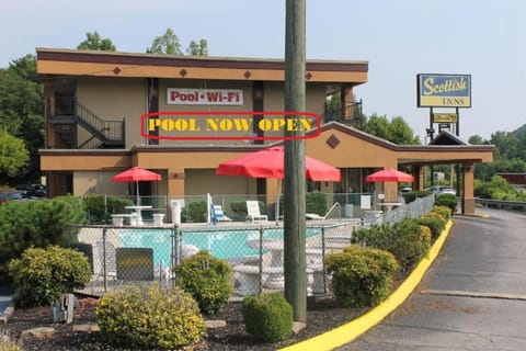 Property logo or sign, Swimming pool