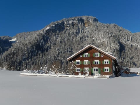 Property building, Winter