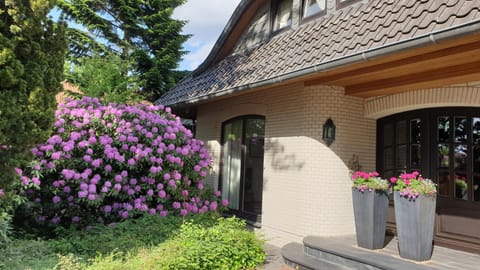 Facade/entrance, Garden