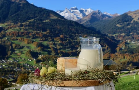 Garden, Autumn, Mountain view