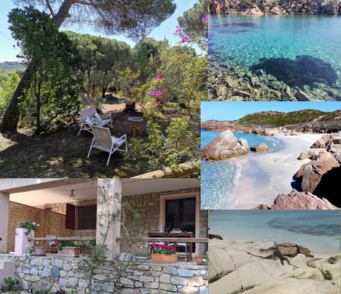 Patio, Garden, Beach