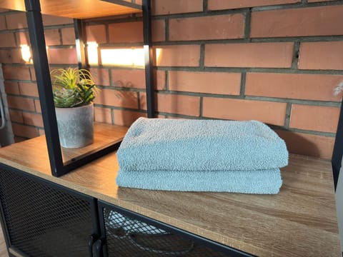 Lampedziai Apartment Apartment in Lithuania