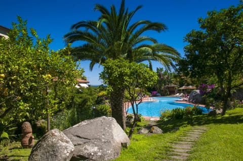 Natural landscape, Garden, Swimming pool, Swimming pool