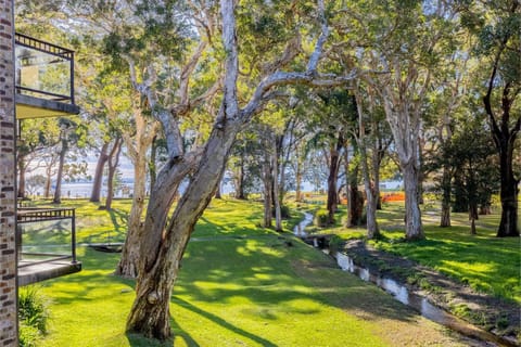 Garden view