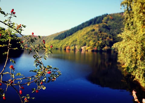 Off site, Natural landscape, Beach