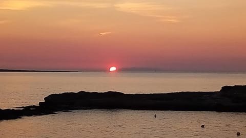 Patio, Nearby landmark, Restaurant/places to eat, Spring, Neighbourhood, Natural landscape, Winter, Summer, Fishing, Horse-riding, Balcony/Terrace, Beach, Hiking, Cycling, Cycling, Diving, Autumn, Sea view, Supermarket/grocery shop, Shopping Area, Seasons, Sunset