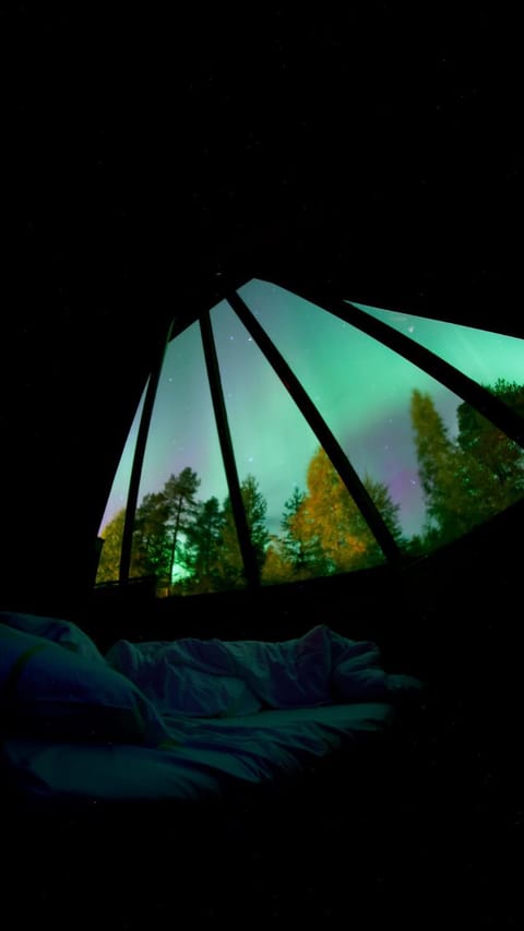 View (from property/room), Autumn