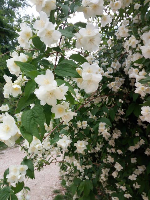 Agriturismo Vallonga Farm Stay in Umbria