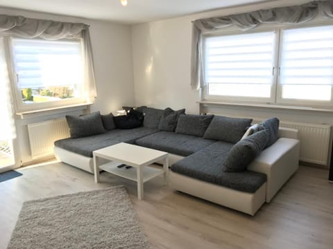Living room, Photo of the whole room, Decorative detail