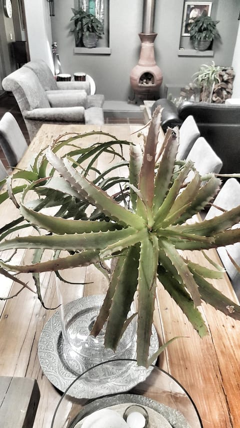 Surfed Out Plettenberg Bay House in Plettenberg Bay