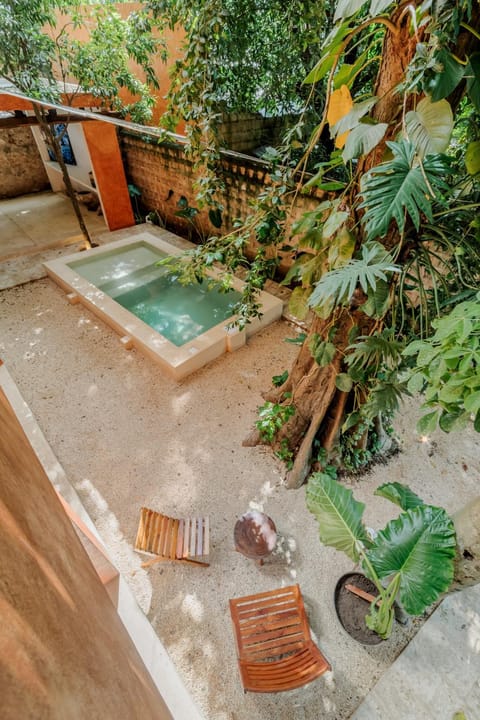 Garden view, Swimming pool